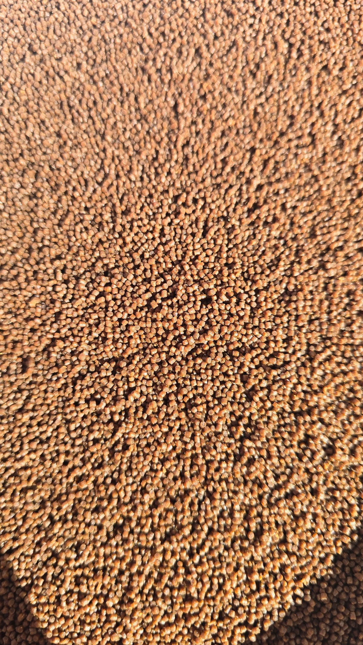 Inhouse High Protein Premium Mini Sinking Pellets 1mm