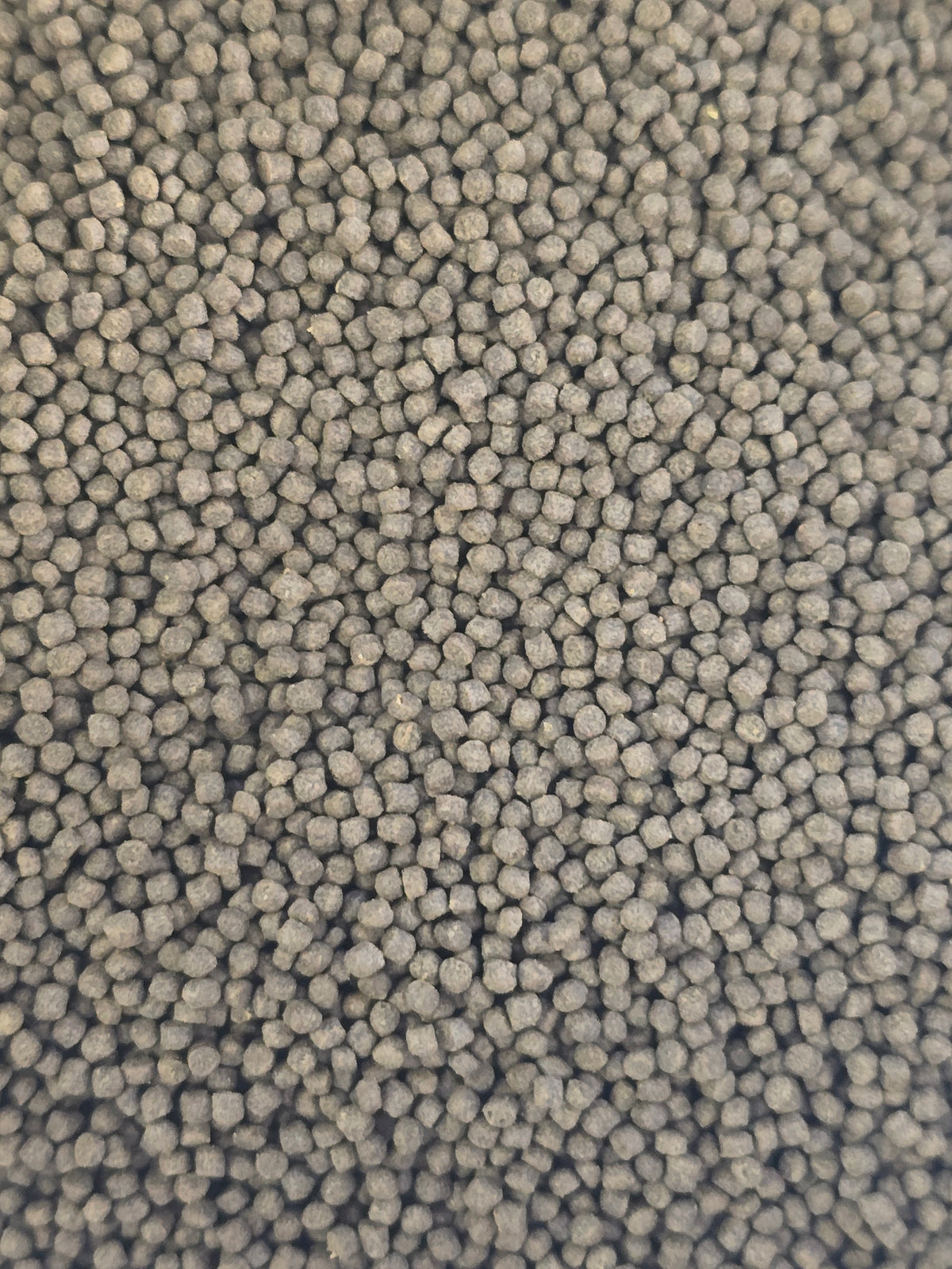 Inhouse Brand Premium Goldfish Sinking Pellet Food 1mm
