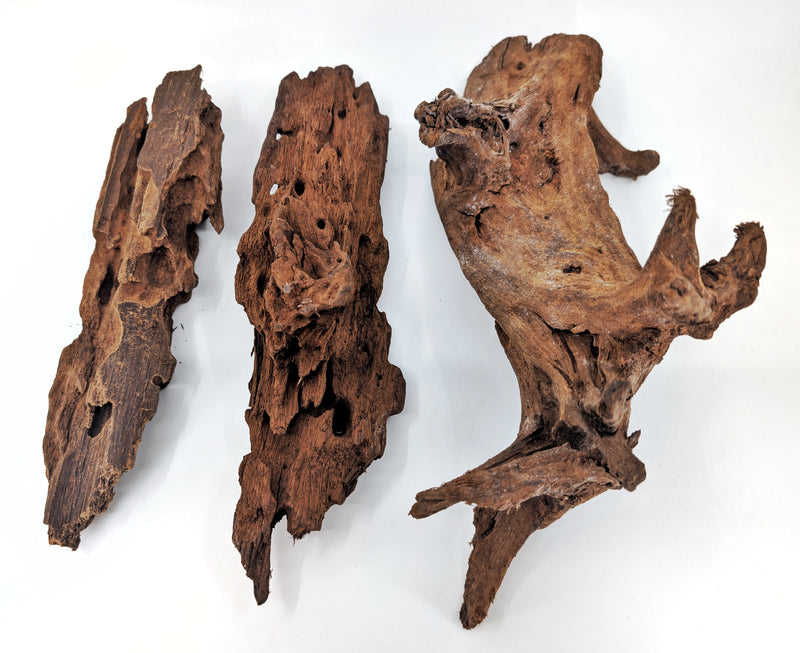 Malaysian Driftwood