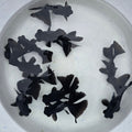 Live Fancy Goldfish Black Broadtail Telescope Moore 2.00 inch