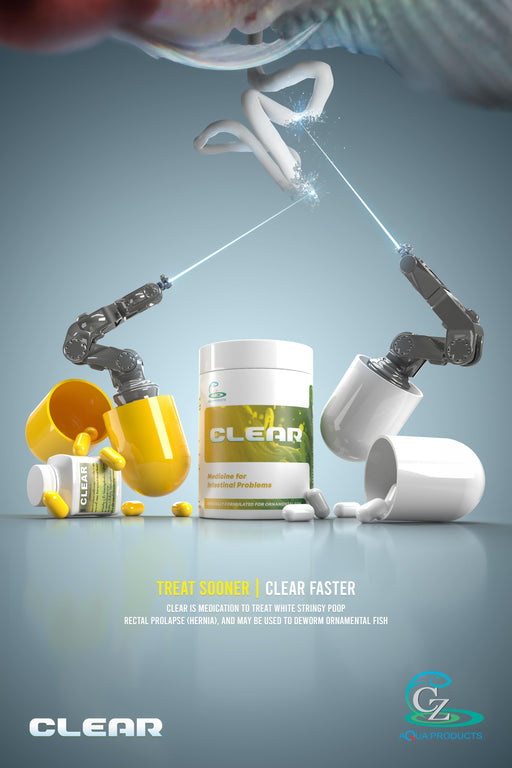 CZ AQUA CLEAR POSTER