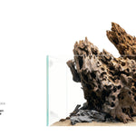 Dragon Wood Extra Small