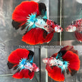 Live Male Betta Red Galaxy Koi Halfmoon (TNK-A726) High quality what you see what you get!!