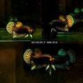 Live Male Betta Copper-Yellow Imbellis Wild Plakat (DET-235) High quality what you see what you get!!