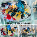 Live Male Betta Yellow Galaxy Koi Plakat (Sky-016) High quality what you see what you get!!