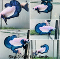 Live Male Betta Blue rim marble Plakat (Sky-319) High quality What you see What you get!!