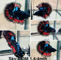 Live Male Betta Galaxy Black Avatar Halfmoon (Sky-493)High quality what you see what you get!!