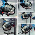 Live Male Betta Black Copper Galaxy Doubletail Plakat (Sky-622) High quality what you see what you get!!