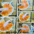 Live Male Betta Fancy Yellow Light Colors Over Halfmoon (Sky-646) High quality what you see what you get!!