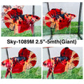 Live Male Betta Nemo Metallic Giants Plakat (Sky-1089)S373 High quality What you see What you get!!