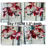 Live Male Betta Red Galaxy Copper Koi Plakat (Sky-1102)S337 High quality what you see what you get!!