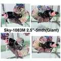 Live Male Betta Black Copper Galaxy Koi Giants Plakat (Sky-1083)S309 High quality What you see What you get!!