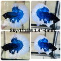 Live Male Betta Blue Butterfly Halfmoon (Sky-1115)S294 High quality what you see what you get!!