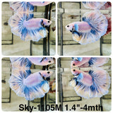 Live Male Betta Blue Grizzle Halfmoon (Sky-1105)S343 High quality what you see what you get!!