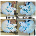 Live Male Betta Blue Marble Polkadot Halfmoon (Sky-1119)S217 High quality What you see What you get!!