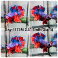 Live Male Betta Fancy Marble Giants Plakat (Sky-1175) High quality what you see what you get!!