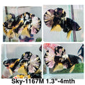 Live Male Betta Black Yellow Tiger Koi Plakat (Sky-1167) High quality what you see what you get!!