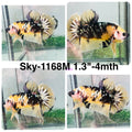 Live Male Betta Black Yellow Galaxy Tiger Koi Plakat (Sky-1168) High quality what you see what you get!!