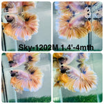 Live Male Betta Fancy Yellow Light colors Halfmoon Rosetail (Sky-1202) High quality what you see what you get!!