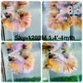 Live Male Betta Fancy Yellow Light colors Halfmoon Rosetail (Sky-1202) High quality what you see what you get!!