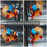 Live Male Betta Galaxy Nemo Plakat (BKB-012) High quality what you see what you get!!