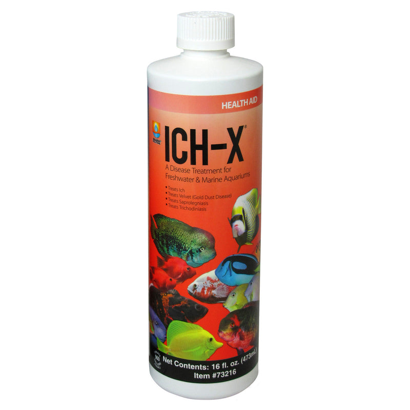 Hikari Ich - X