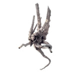 Black Forest Spiderwood