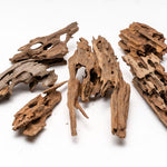 Dragon Wood Extra Small