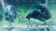 Live Male Betta Black Galaxy Avatar Halfmoon (Sky-1266) High quality What you see What you get!!