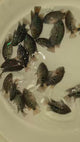GREEN TEXAS GT75 FRY 1.00-2.00 inch