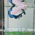 Live Male Betta Blue rim marble Plakat (Sky-320) High quality What you see What you get!!