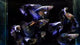 Dumbo Blue Dragon Big Dorsal Halfmoon guppy
