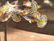 Live Fancy Guppy Fish Metal Leopard Guppy (CGP-146)