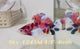 Live Male Betta Fancy Koi Dumbo big ear Plakat (Sky-1241) High quality What you see What you get!!