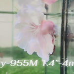 Live Male Betta Fancy Light colors Halfmoon Rosetail (Sky-955) High quality What you see What you get!!