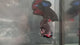 Live Male Betta Black Galaxy Avatar Plakat (TNK-A813) High quality what you see what you get!!