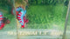 Live Male Betta Fancy Red Black Startail Plakat (Sky-1286) High quality What you see What you get!!