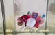 Live Male Betta Candy Nemo Dumbo big ear Plakat (Sky-1239) High quality What you see What you get!!