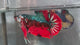 Live Male Betta Red Green Morakot Galaxy Giants Plakat (TNK-A836) High quality what you see what you get!!