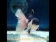 (NOK-344A) Thai Jumbo Panda Orchid Tail Oranda 4.50 inch Body Male 7 Months Age |PREORDER