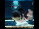 H(NOK-205) Thai Panda Orchid Tail Oranda 4.00 inch Body Male 7 Months Age