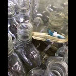 Female Live Betta Blue Rim/Marble Plakat Our Choice (CBG-017) R7A07