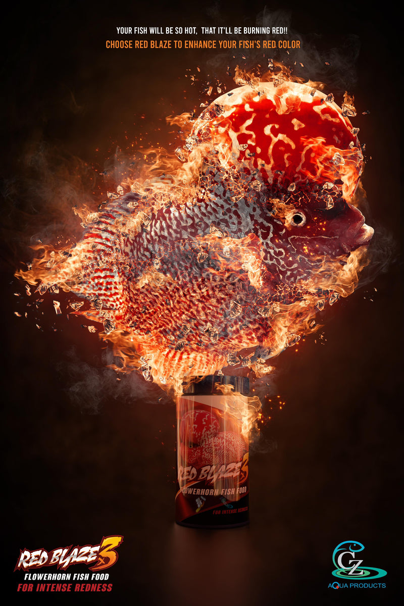 CZ AQUA Red Blaze Color Enhancement Food 100gm