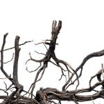 River Driftwood