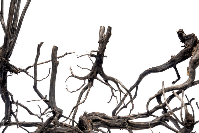 River Driftwood
