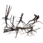 River Driftwood