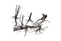 River Driftwood