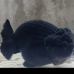 Live Fancy Goldfish Premium Select Our Choice Big Head Thai Lionchu Super Black / Jet Black Grow up to Over 5'' BODY(CGF-069)