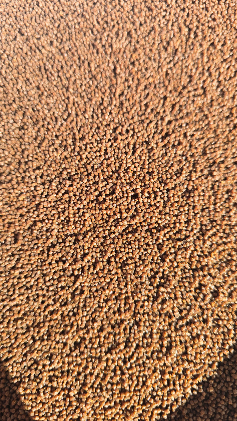 Inhouse High Protein Premium Mini Sinking Pellets 1mm