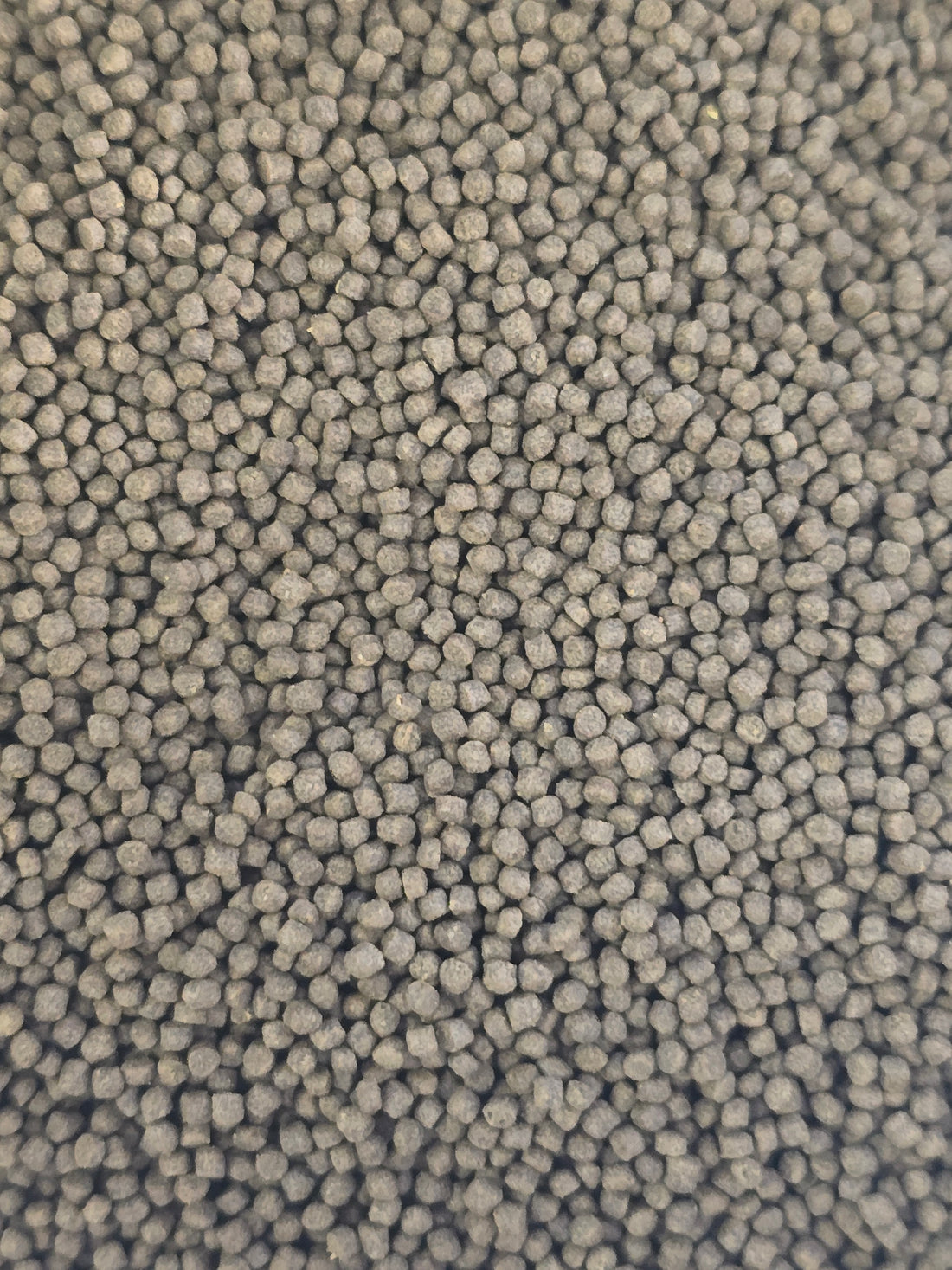 Inhouse Brand Premium Goldfish Sinking Pellet Food 1mm
